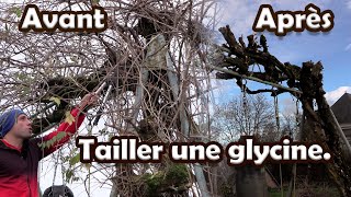 Tailler  entretenir une grande glycine à la cisaille délagage  coupe branche  Jardin élaguer [upl. by Elokkin]