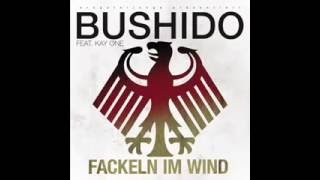 Bushido  Fackeln im Wind EM Song 2016 [upl. by Odella]