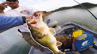 THE BIGGEST BASS OF MY LIFE  19LBS IN 2 CASTS [upl. by Adnawahs474]