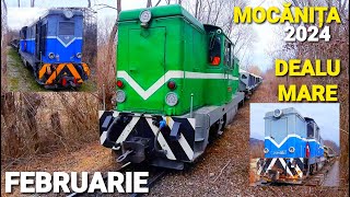 MOCANITA FEBRUARIE 2024  DEALU MARE [upl. by Anale]