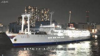 船 東海汽船 「かめりあ丸」の荷役を撮ってみた MS CAMELLIA MARU Unloading by derrick Tokyo Port 2013AUG [upl. by Lissner]