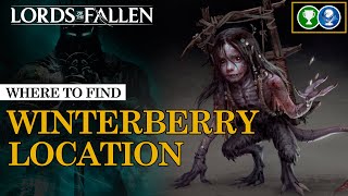 Where to find Winterberry  Lords of the Fallen 2023 [upl. by Calloway]