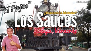 Conoce la historia de quotLos Saucesquot  Xalapa Veracruz [upl. by Leoline]