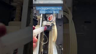 Clean Printhead And Unclogged Nozzles in Epson Ink Tank Printers [upl. by Pedrotti]