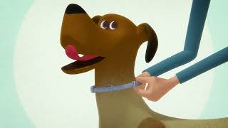 How to Apply the Seresto Collar for Dogs [upl. by Carlo]