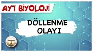 AYT Biyoloji  Döllenme Olayı sayfa122 [upl. by Sad]