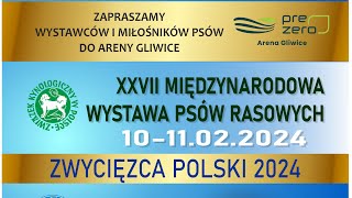 Międzynarodowa Wystawa Psów Katowice 2024 [upl. by Neelav]