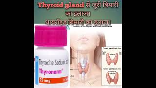 Thyroxine 25mcg use in hindi  थायरॉइड की दवा  thyronorm use in hindi  thyroxine tablet use dose [upl. by Adnawed]