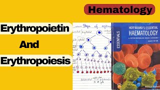 Erythropoiesis steps and erythropoietin Hematology Hoffbrand lecture 3 [upl. by Amlez]