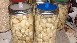 Preserving Garlic for Long Term Storage [upl. by Zysk]