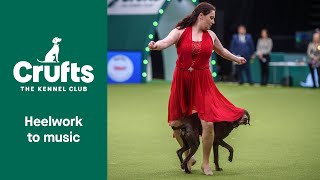 Heelwork To Music Competition  Part 1  Crufts 2022 [upl. by Llednav366]