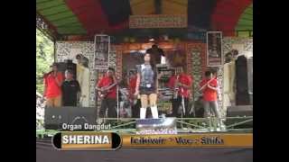 ICIKIWIR VOC  SIFA di SHERINA MUSIC [upl. by Orsay93]