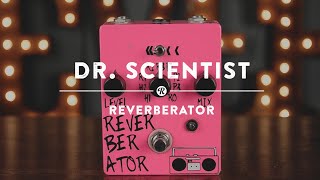 Dr Scientist Reverberator  Reverb Demo Video [upl. by Rubia]