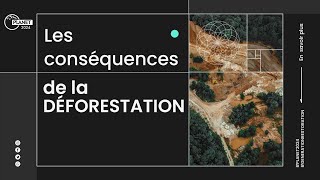 Les conséquences de la déforestation  PLANET 2024 [upl. by Enilesoj]