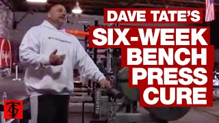 Dave Tates SixWeek Bench Press Cure [upl. by Alansen273]