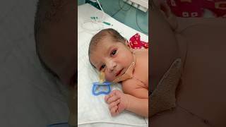 Cute baby 🍼🥰😍Vasuhealthcareq8t cute baby newlyborn youtubeshorts shorts nicu [upl. by Costa]