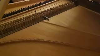 clavecin Wittmayer Strasbourg Neudorf [upl. by Jeffries1]