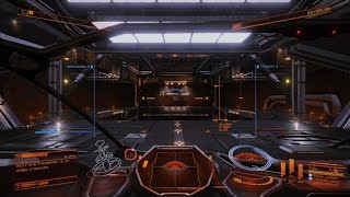 Elite Dangerous Civilization at last [upl. by Ralli]