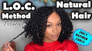 LOC METHOD ON NATURAL HAIR [upl. by Quintessa]