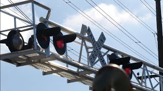 Meadowview Rd railroad crossing  SACRT light rail trains  Sacramento CA [upl. by Mali]