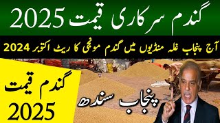 Wheat Sapport Price 2025  Gandam Amdadi Qeemat 2025  Munji Rate Today  Episode37 [upl. by Huntington270]