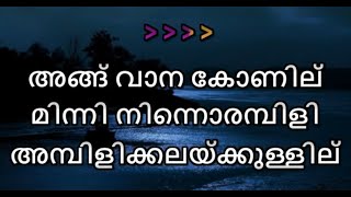 Angu Vaana Konilu Karaoke With Malayalam Lyrics [upl. by Annaerdna188]