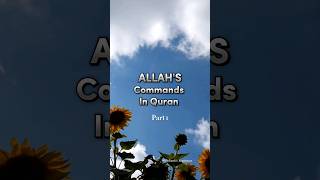 ALLAHs Commands In QURAN 📖 Part 1 allah allahsays quran command shorts [upl. by Avery922]