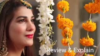 Bewafa Ho Tum Episode 115  Pakistani Drama Review  11th October 2024 [upl. by Ytsanyd]