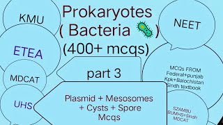 Prokaryotes  Bacteria  400 mcqs Part 3  Plasmid  Mesosomes  Spores  Cysts  Related mcqs [upl. by Ydwor]