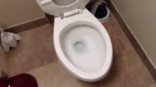 Double Flushing Briggs Fanaloza toilet  Youtube toilet repair [upl. by Walliw]