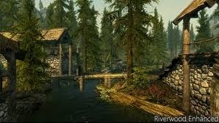 Skyrim Riverwood Trader Location [upl. by Ecadnac]