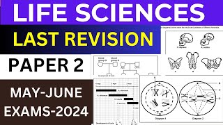 MAY JUNE LIFE SCIENCES P2 FINAL REVISION 2024 GRADE 12 LIFE SCIENCES THUNDEREDUC BY M SAIDI [upl. by Oznola]