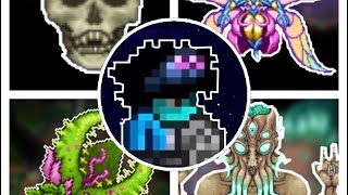 Terraria all bosses Expert [upl. by Chessy]