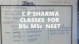 Rhynia Classification structure and characters practical and Theory By c p sharma ForBSc MSc neet [upl. by Noit]