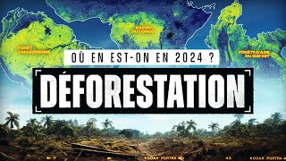 Comprendre la DÉFORESTATION en 2024 en 15 min [upl. by Carolyne]