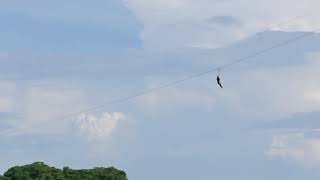 ZIPLINE at Governors IslandAlaminos Pangasinan [upl. by Neumann]