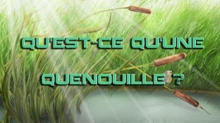 Questce quune quenouille   Linstant Quenouille 11 [upl. by Ormand]