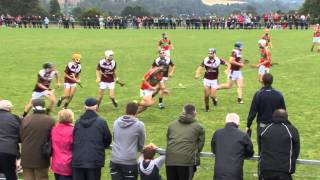 Wexford GAA TV I U21 Wexford Premier Hurling final from 2014 [upl. by Icart103]