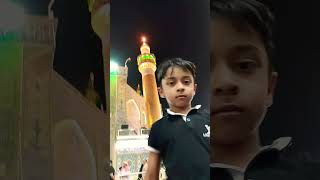 Haram Ameer Al momneen as trending imamali najaf shortsvideo [upl. by Assirak]