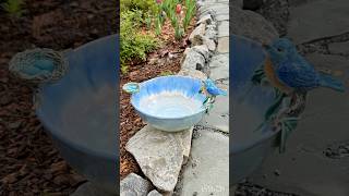 Sharing my glaze combination on this bluebird bowl🩵💙🩵 potteryglaze kilnopening [upl. by Morvin]