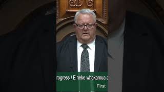 Haka interrupts vote for the Treaty Principles Bill  RNZ [upl. by Hungarian]