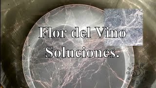 Velo Flor del vino accidente microbiano Soluciones [upl. by Dolhenty599]