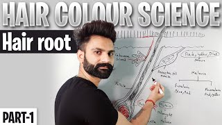 Hair Color Science  PART1  Hair Color Theory In Hindi  Hair Root  Melanin Pigments [upl. by Assyl]