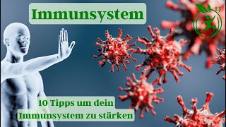 10 Tipps um dein Immunsystem zu stärken immunsystemstärken [upl. by Hilleary]