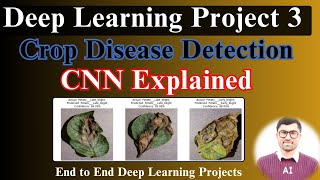 Mastering Crop Disease Classification  CNN Explained  Crop recommendation system Deep learning [upl. by Matazzoni]