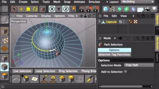 C4D Selection Tools Part 2 Phong and Path selection tools [upl. by Ybok]