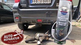 DPF reinigen mit DieselpartikelfilterReiniger aus der Sprühdose  So funktioniert´s [upl. by Erland]