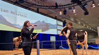 EUROTIER Präsentation Holstein mit Gregor Schaubmaier und Stefanie Zottl [upl. by Tioneb900]