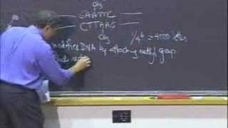 Lec 15  MIT 7012 Introduction to Biology Fall 2004 [upl. by Hindu]