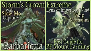 FFXIV Stormss Crown Extreme Best PF Mount Farming Guide Barbariccia [upl. by Josefina]